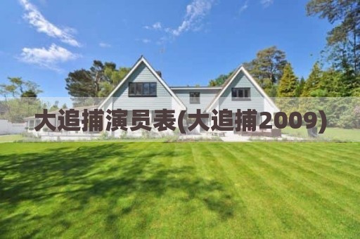 大追捕演员表(大追捕2009)