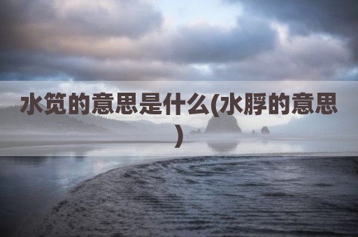 水笕的意思是什么(水脬的意思)