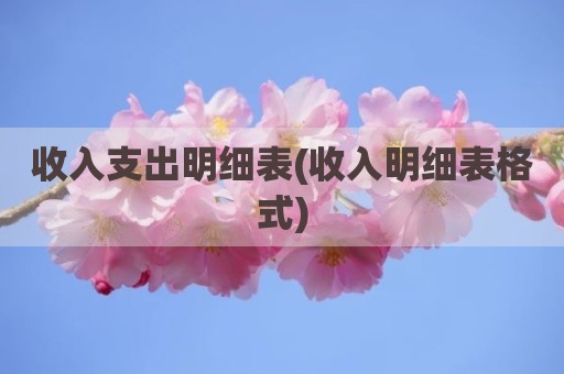 收入支出明细表(收入明细表格式)