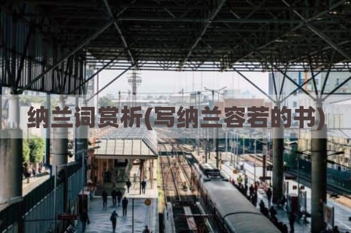 纳兰词赏析(写纳兰容若的书)
