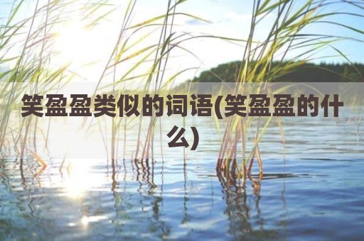 笑盈盈类似的词语(笑盈盈的什么)