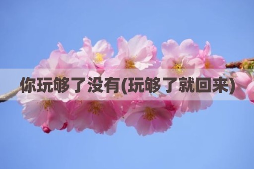 你玩够了没有(玩够了就回来)