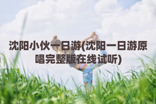 沈阳小伙一日游(沈阳一日游原唱完整版在线试听)