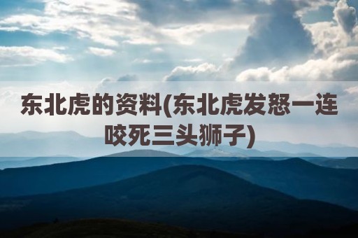 东北虎的资料(东北虎发怒一连咬死三头狮子)
