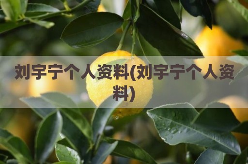 刘宇宁个人资料(刘宇宁个人资料)