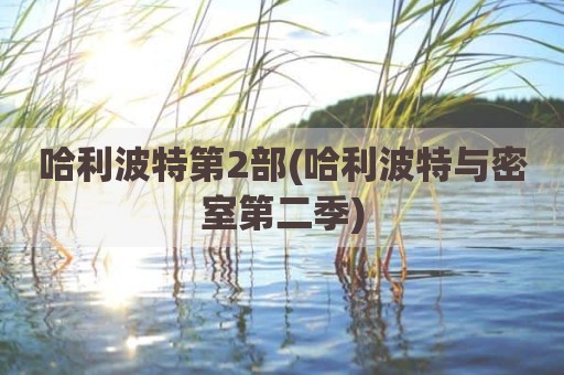 哈利波特第2部(哈利波特与密室第二季)
