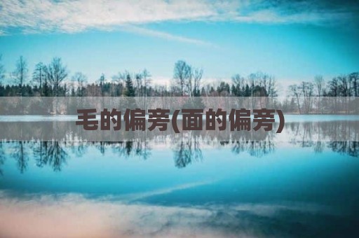 毛的偏旁(面的偏旁)