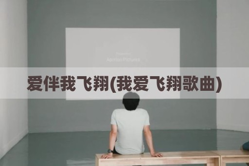 爱伴我飞翔(我爱飞翔歌曲)