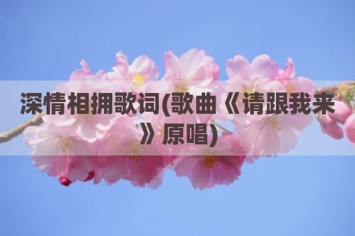 深情相拥歌词(歌曲《请跟我来》原唱)