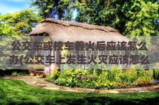 公交车或校车着火后应该怎么办(公交车上发生火灾应该怎么办)