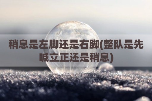 稍息是左脚还是右脚(整队是先喊立正还是稍息)