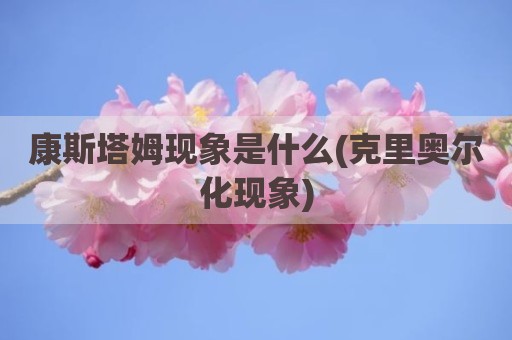康斯塔姆现象是什么(克里奥尔化现象)