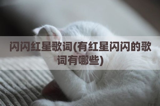 闪闪红星歌词(有红星闪闪的歌词有哪些)