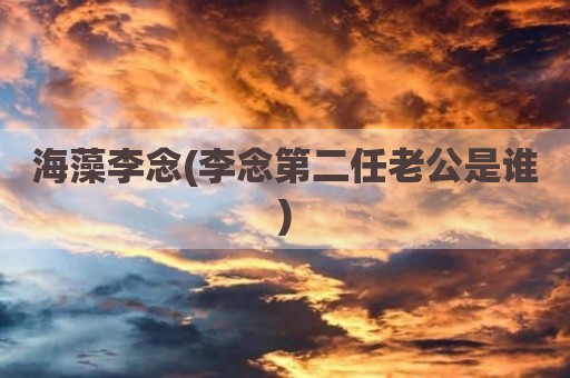 海藻李念(李念第二任老公是谁)