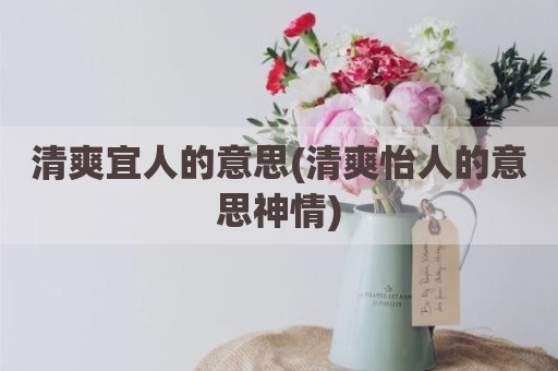清爽宜人的意思(清爽怡人的意思神情)