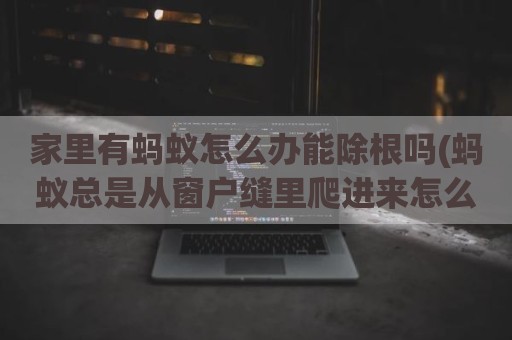 家里有蚂蚁怎么办能除根吗(蚂蚁总是从窗户缝里爬进来怎么办)