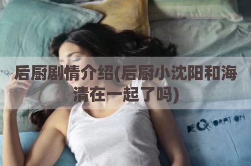 后厨剧情介绍(后厨小沈阳和海清在一起了吗)