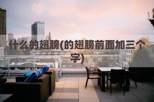 什么的翅膀(的翅膀前面加三个字)