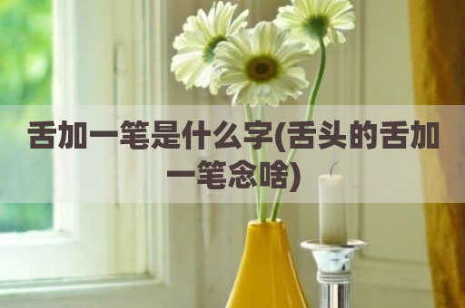 舌加一笔是什么字(舌头的舌加一笔念啥)