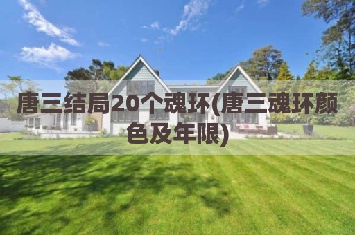 唐三结局20个魂环(唐三魂环颜色及年限)