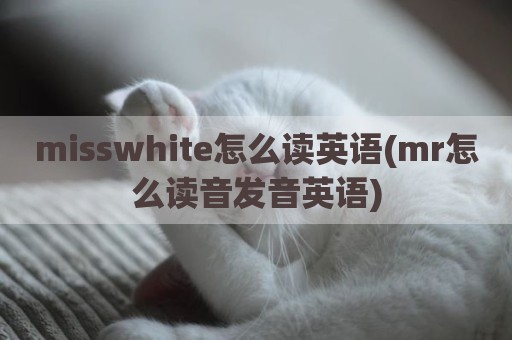 misswhite怎么读英语(mr怎么读音发音英语)