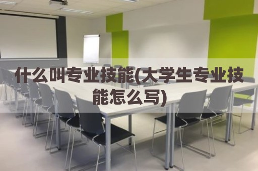 什么叫专业技能(大学生专业技能怎么写)