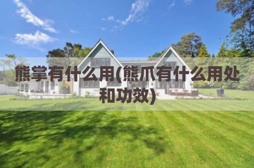 熊掌有什么用(熊爪有什么用处和功效)