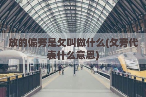 放的偏旁是攵叫做什么(攵旁代表什么意思)
