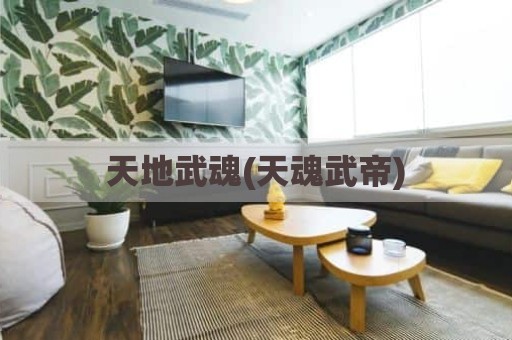 天地武魂(天魂武帝)