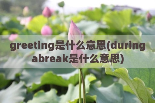 greeting是什么意思(duringabreak是什么意思)