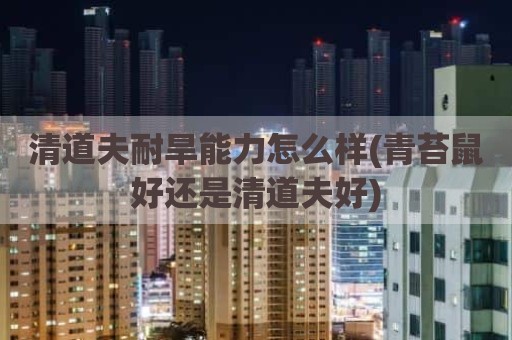 清道夫耐旱能力怎么样(青苔鼠好还是清道夫好)