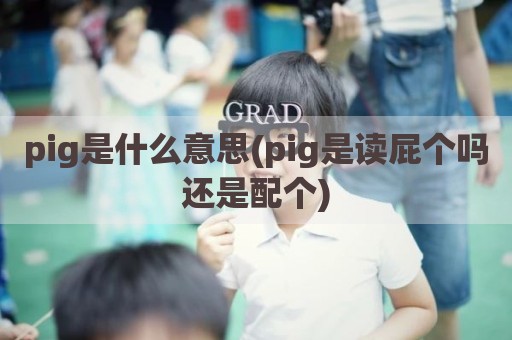 pig是什么意思(pig是读屁个吗还是配个)