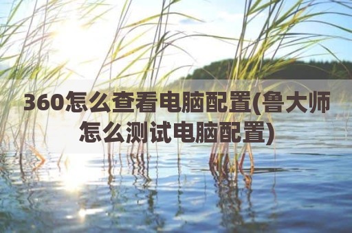 360怎么查看电脑配置(鲁大师怎么测试电脑配置)