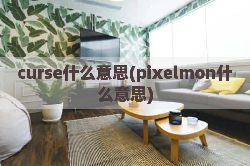 curse什么意思(pixelmon什么意思)