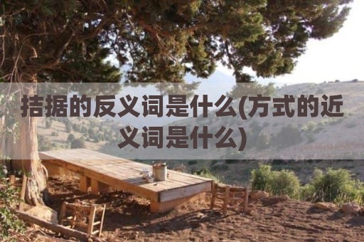 拮据的反义词是什么(方式的近义词是什么)