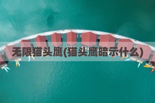 无限猫头鹰(猫头鹰暗示什么)