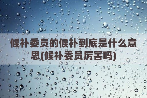 候补委员的候补到底是什么意思(候补委员厉害吗)
