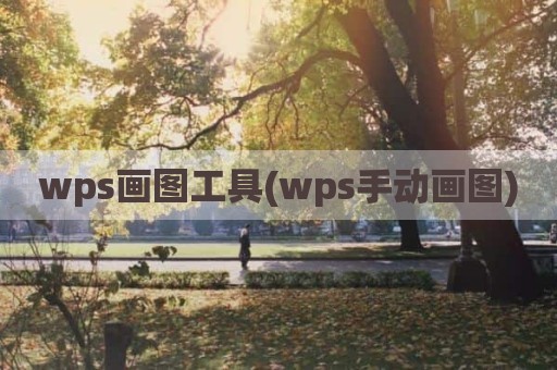 wps画图工具(wps手动画图)