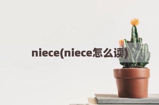 niece(niece怎么读)
