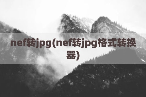 nef转jpg(nef转jpg格式转换器)