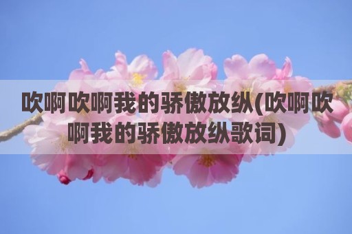 吹啊吹啊我的骄傲放纵(吹啊吹啊我的骄傲放纵歌词)