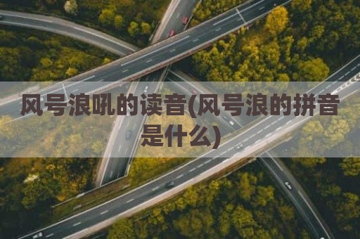 风号浪吼的读音(风号浪的拼音是什么)