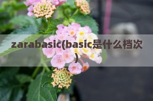 zarabasic(basic是什么档次)