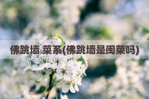 佛跳墙 菜系(佛跳墙是闽菜吗)