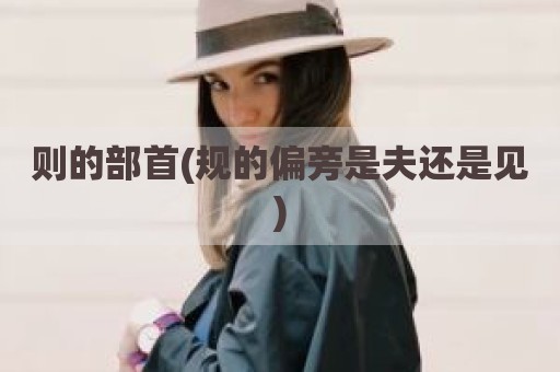 则的部首(规的偏旁是夫还是见)