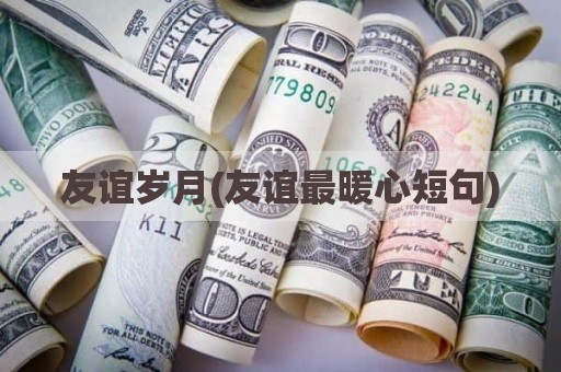 友谊岁月(友谊最暖心短句)