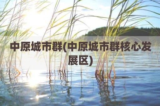 中原城市群(中原城市群核心发展区)