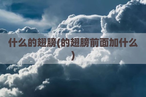 什么的翅膀(的翅膀前面加什么)