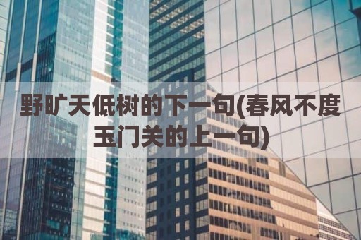 野旷天低树的下一句(春风不度玉门关的上一句)
