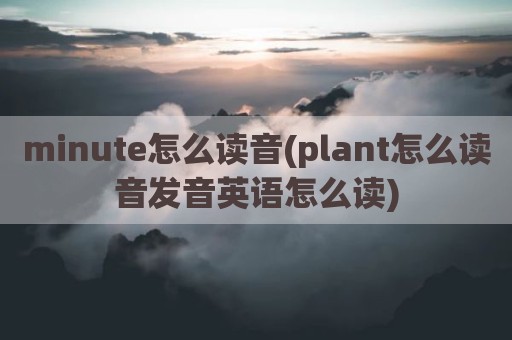 minute怎么读音(plant怎么读音发音英语怎么读)